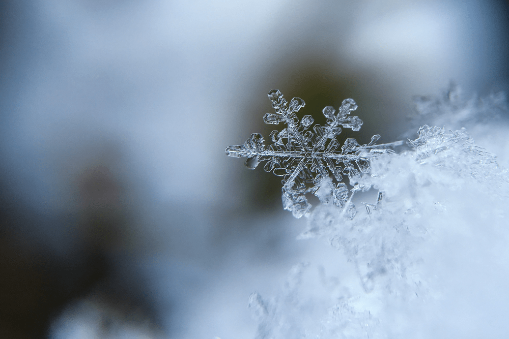 copos de nieve formación uller 