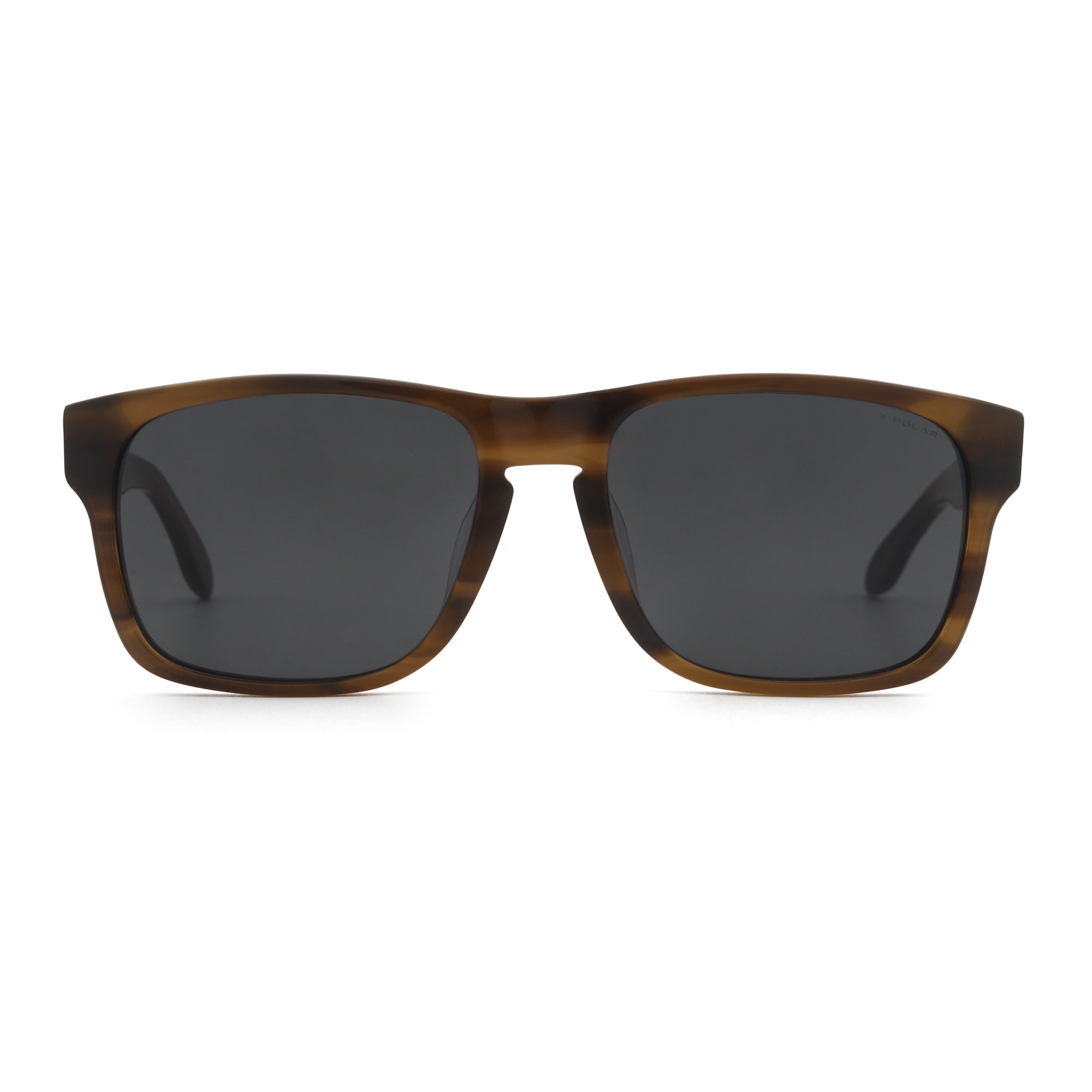 Backside Brown Tortoise / Black